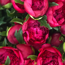 Load image into Gallery viewer, Many Happy Returns