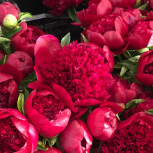 Load image into Gallery viewer, Many Happy Returns