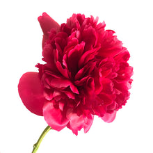 Load image into Gallery viewer, Many Happy Returns